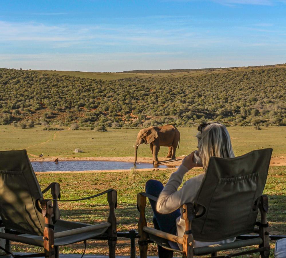 Gorah Elephant Camp Addo Extérieur photo