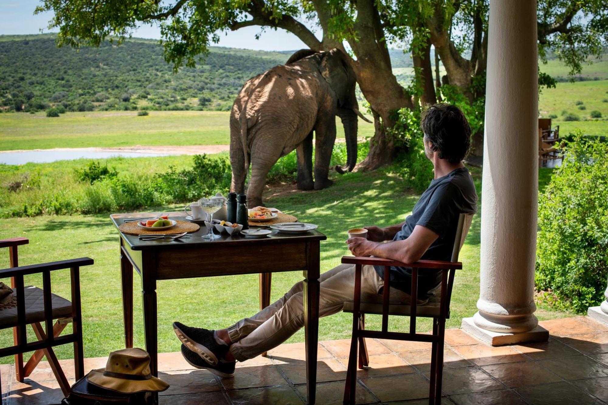 Gorah Elephant Camp Addo Extérieur photo