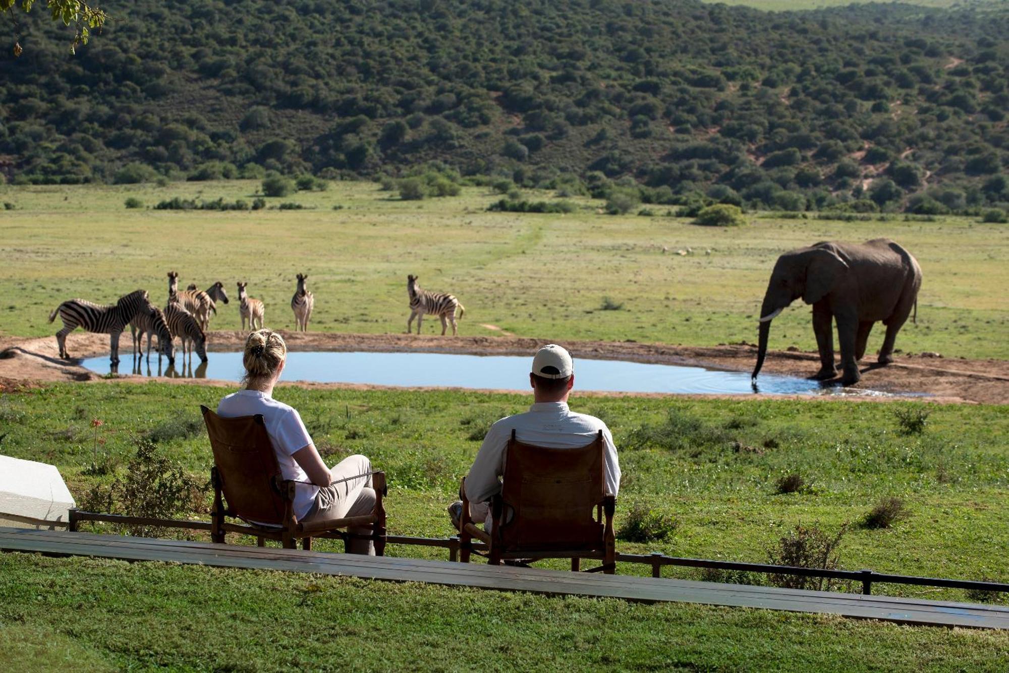 Gorah Elephant Camp Addo Extérieur photo