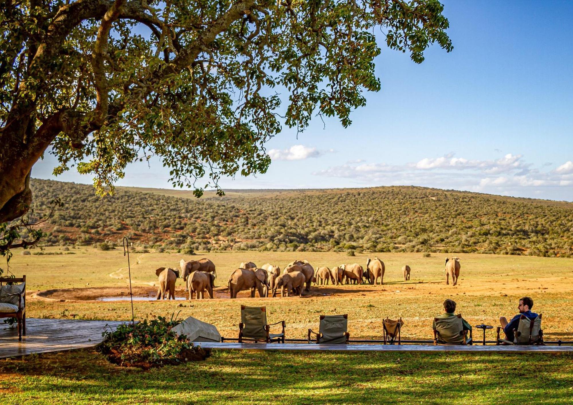 Gorah Elephant Camp Addo Extérieur photo