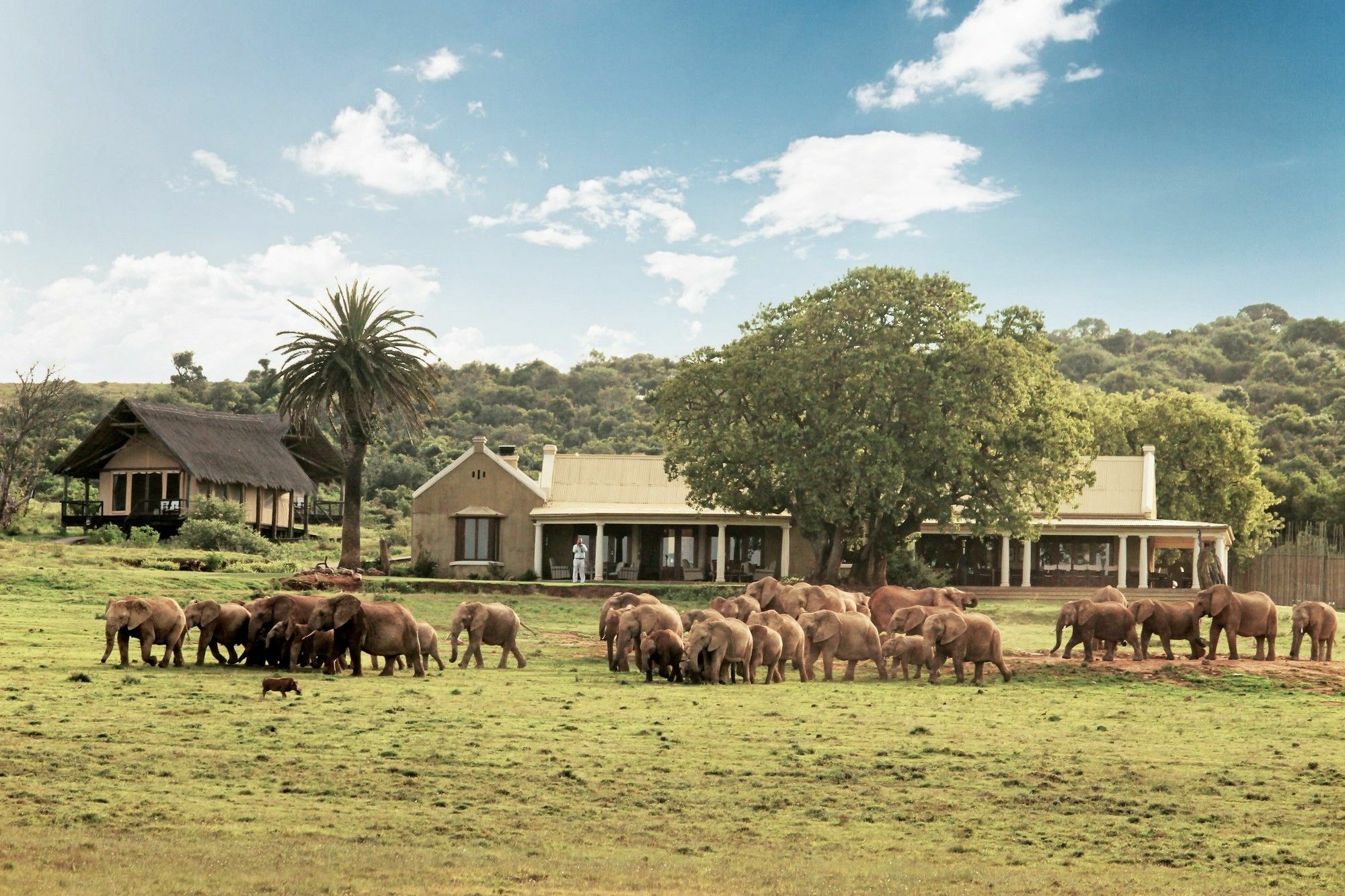 Gorah Elephant Camp Addo Extérieur photo