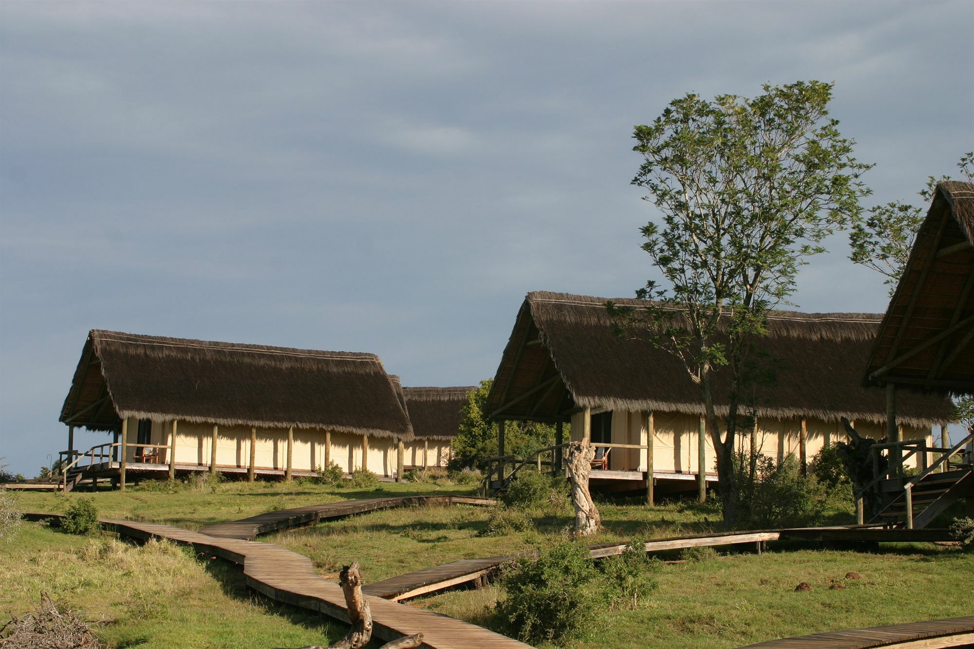 Gorah Elephant Camp Addo Extérieur photo